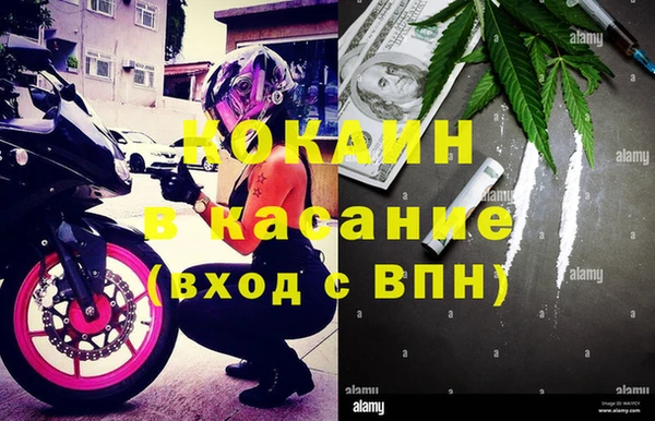 прущая мука Бородино