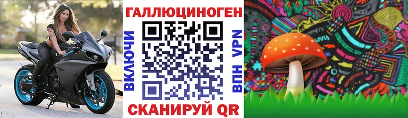 Галлюциногенные грибы мухоморы  даркнет сайт  Новохопёрск 